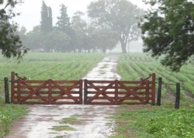 Las lluvias avanzan hacia el este con tormentas localizadas: cuándo llegarán a la zona núcleo.