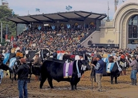 La Exposición Rural de Palermo ya acumula 133 años de historia y 2 años de covid: Se volvió a aplazar hasta 2022