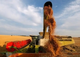 El súper precio de la soja y lo que queda en el camino: por qué "vale" la mitad que en Uruguay
