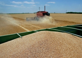 Empresas agropecuarias: cómo manejarlas en un contexto turbulento