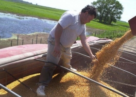 Opinión: representación, intereses y asimetrías en las cadenas de producción agrícola