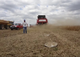 Soja: 7 marcas de cosechadoras presentarán pruebas a campo para reducir pérdidas de hasta 142 kg/ha