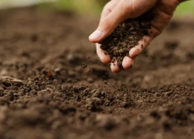 Es ahora: qué senderos tiene que “corregir” el agro para atender a los desafíos globales