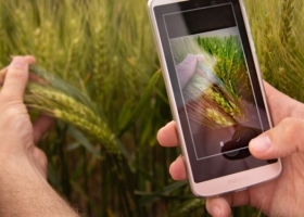 ¿Habrá tecnología 5G para el agro argentino? Los tres capítulos a resolver: marco regulatorio, macroeconomía y despliegue de infraestructura
