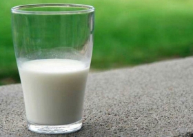En el Día Mundial de la Leche, por qué se celebra hoy y un balance argentino