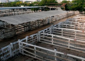 Último día del paro: comienzan los movimientos en Liniers mientras se aguarda una respuesta por la carne