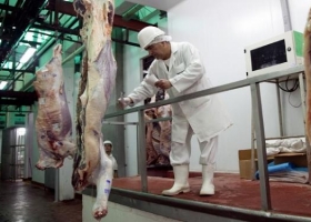 Carne: AFIP denunció que el 90 % de los frigoríficos más grandes realizaron maniobras de evasión