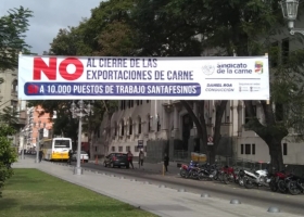 Cepo a la carne: un gremio reclama que se abran las exportaciones