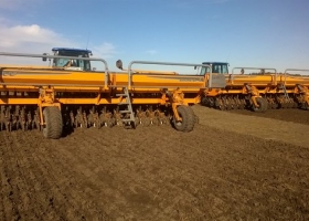 Trigo: la siembra alcanzó el 60 % de lo estimado en la zona núcleo y avanza entre falta de agua y excesos