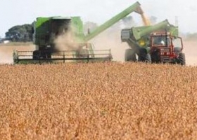 La cosecha de soja se encuentra en su etapa final con interesantes números