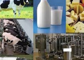 Pese a los pronósticos, el precio de los alimentos seguiría con aumentos