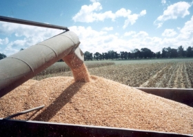 La agroindustria crece en su participación sobre el total de exportaciones