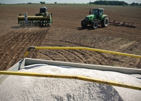 Hay una alta heterogeneidad en los precios de los insumos agrícolas