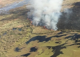 Crítico del plan nacional de manejo del fuego, el experto forestal Juan Manuel García Conde aclara que no todos los incendios en el Delta son provocados por el hombre