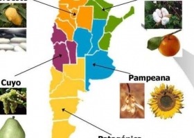 El problema de las economías regionales es la falta de tecnología