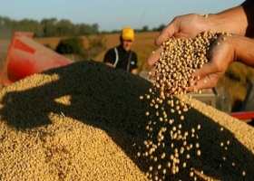 ¿En pesos o en dólares? Cómo financiarse en el agro