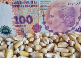Qué hacer con los pesos en las empresas del campo