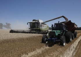 Trigo y cebada: el Gobierno estimó una siembra récord con 8,25 millones de hectáreas