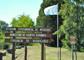 Buenos Aires tiene 14 chacras experimentales repartidas por toda la provincia: ¿Qué función cumplen?