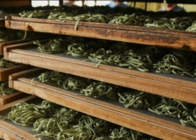 Agricultura creó un programa de agropymes sustentables