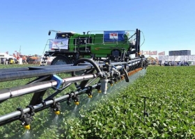 Clorpirifós. El Senasa prohibió su uso como insecticida