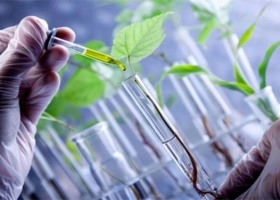 En qué consiste el programa de Bioinsumos creado por el gobierno