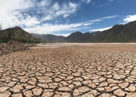 En Cuyo alertan que el campo sufre la peor crisis hídrica en más de 20 años