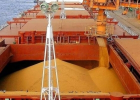 Por bajante del Paraná la carga de maíz en Bahía Blanca superó el promedio histórico