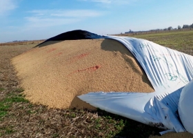 “Ven al campo como enemigo”: el enojo de un productor que sufrió la rotura de un silobolsa