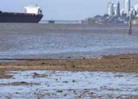 La bajante del Paraná presiona a la baja el precio FOB del maíz y la soja