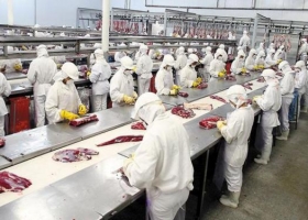 Exportación de carne: Aduana fijó nuevos precios de referencia para ocho cortes