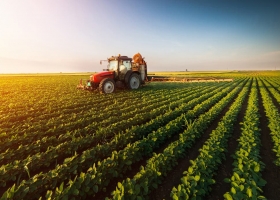 Cómo aprovechar los ingresos de dólares que trajo la última campaña agrícola