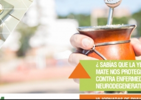 Científicos confirman que tomar mate disminuye el riesgo de contraer Parkinson