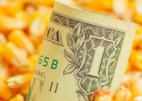 Soja, trigo y maíz: la fortaleza del dólar impactó sobre el mercado de granos