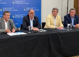 Sector agropecuario: menos política y más representación