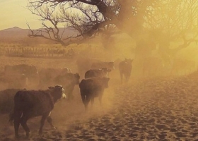 Declaran la emergencia agropecuaria en Neuquén por el impacto de la sequía en las producciones