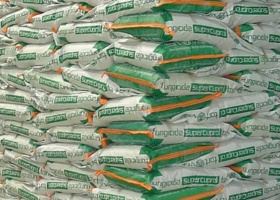 Fungicidas: el Gobierno abre una investigación para productos originarios de Brasil y Perú