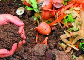 Huerta. Cómo hacer compost en casa