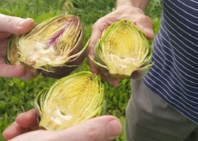El superalimento que pasó de moda porque las abuelas dejaron de cocinar