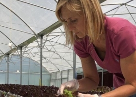 Hidroponia, espinaca chica y microgreens: Romina apuesta a producir en la ciudad para acortar distancias