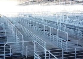 Que se corra el telón: En noviembre se harán los primeros remates “ensayo” en el nuevo Mercado de Cañuelas