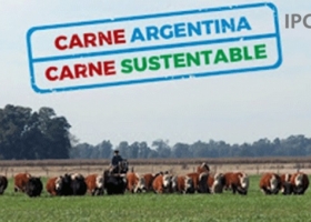 La ganadería argentina es sustentable, pasen y vean