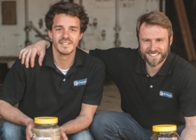 El francés y el belga que usan en el país una mosca para producir alimento para animales