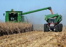 La agricultura, erosionada por el incremento de costos y atenta a la política