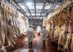 Aseguran que el precio de la carne es prioritario en la agenda oficial