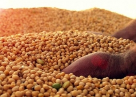 ¿Que mi soja no vale? La suba de agroquímicos y fertilizantes pulveriza el poder de compra de los granos