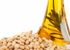 La industria aceitera no pudo revertir los márgenes de molienda negativos.