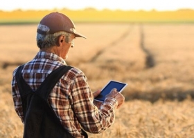 Digitalización en el campo: un camino hacia la sustentabilidad y para acercarse al consumidor