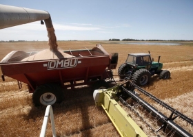 “Volúmenes de equilibrio”: el Gobierno creó un sistema para controlar exportaciones de trigo y maíz