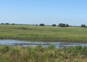 Santa Fe impulsa la creación de una reserva hídrica en los Bajos Submeridionales